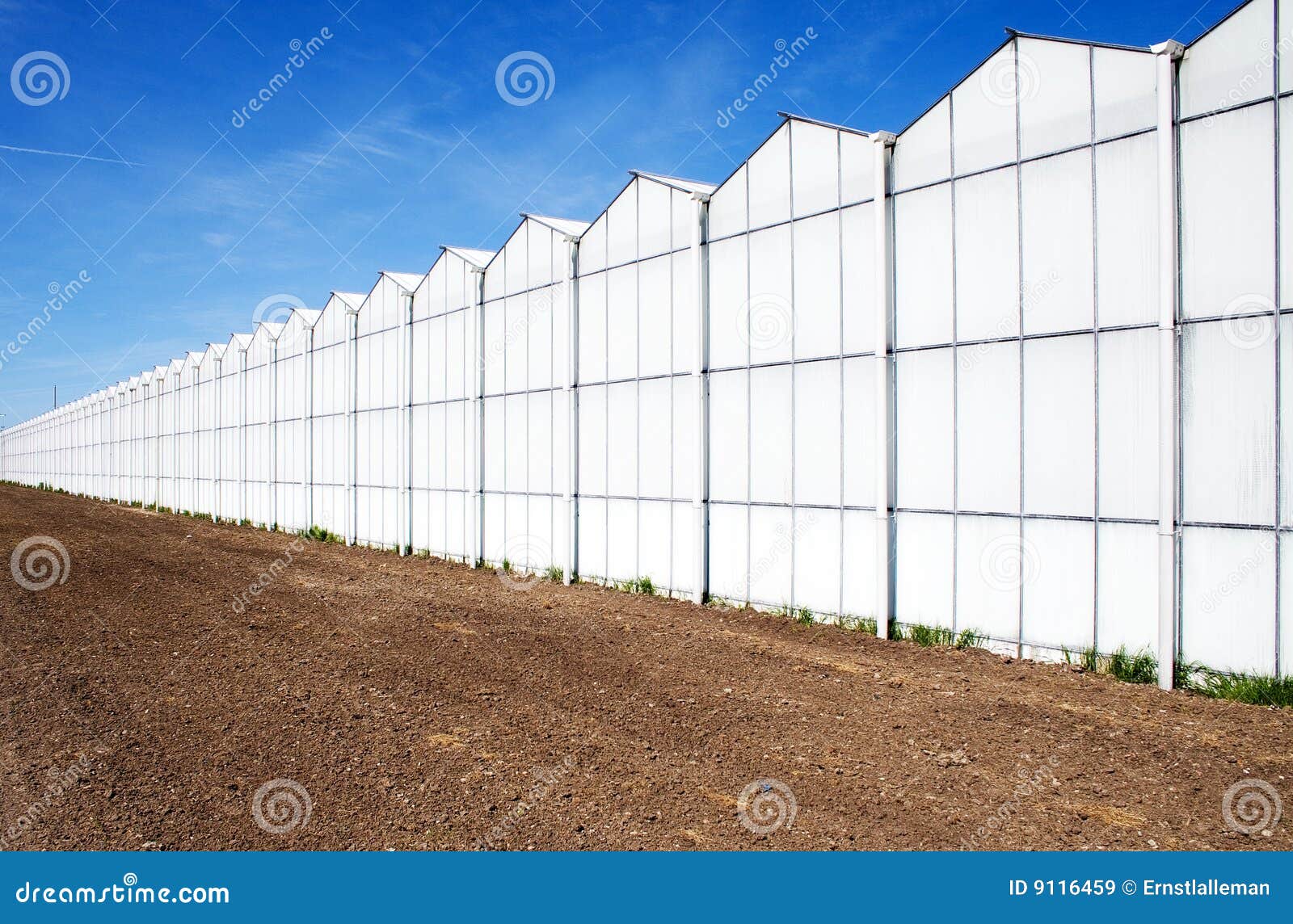 Glasshouse stock image. Image of culture, glass, westland 9116459
