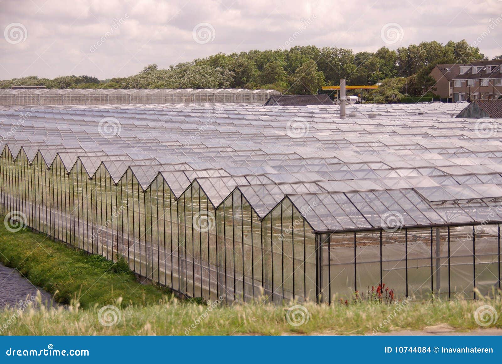 Glasshouses stock photo. Image of agriculture, cultivate 10744084