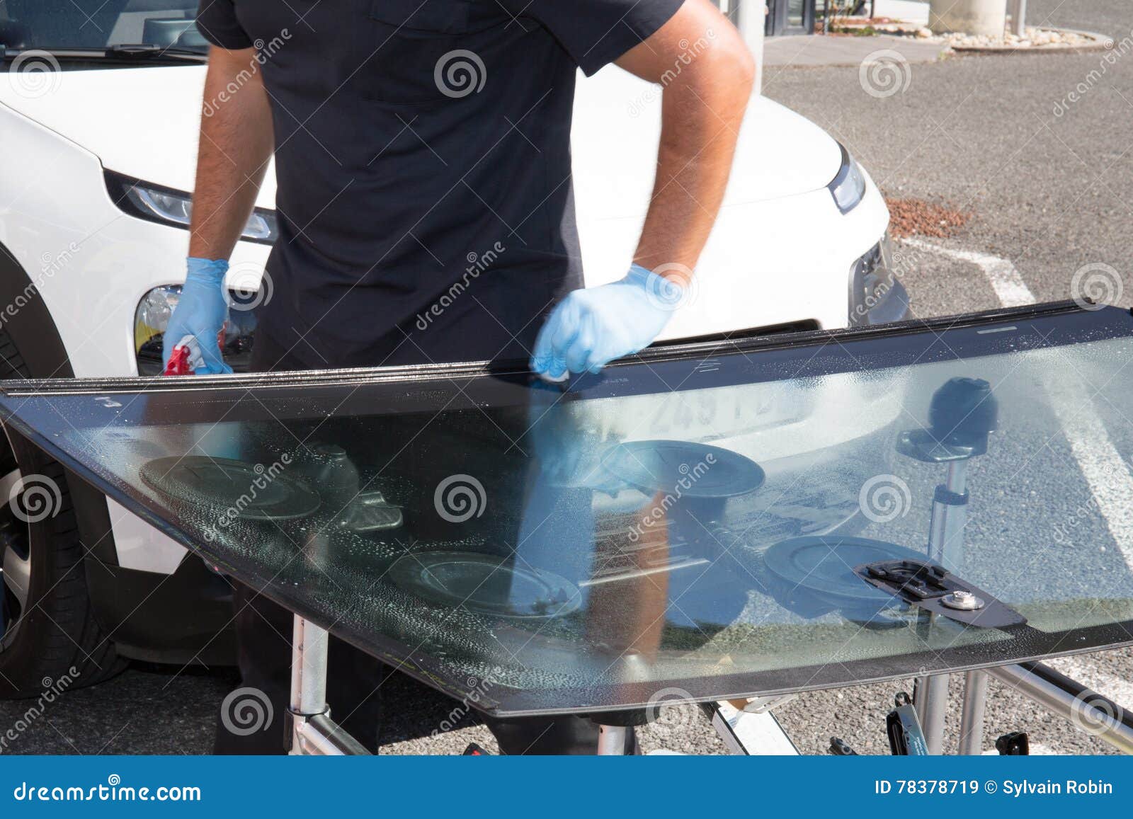 Glazier Removing Windshield or Windscreen on a Car Stock Image Image