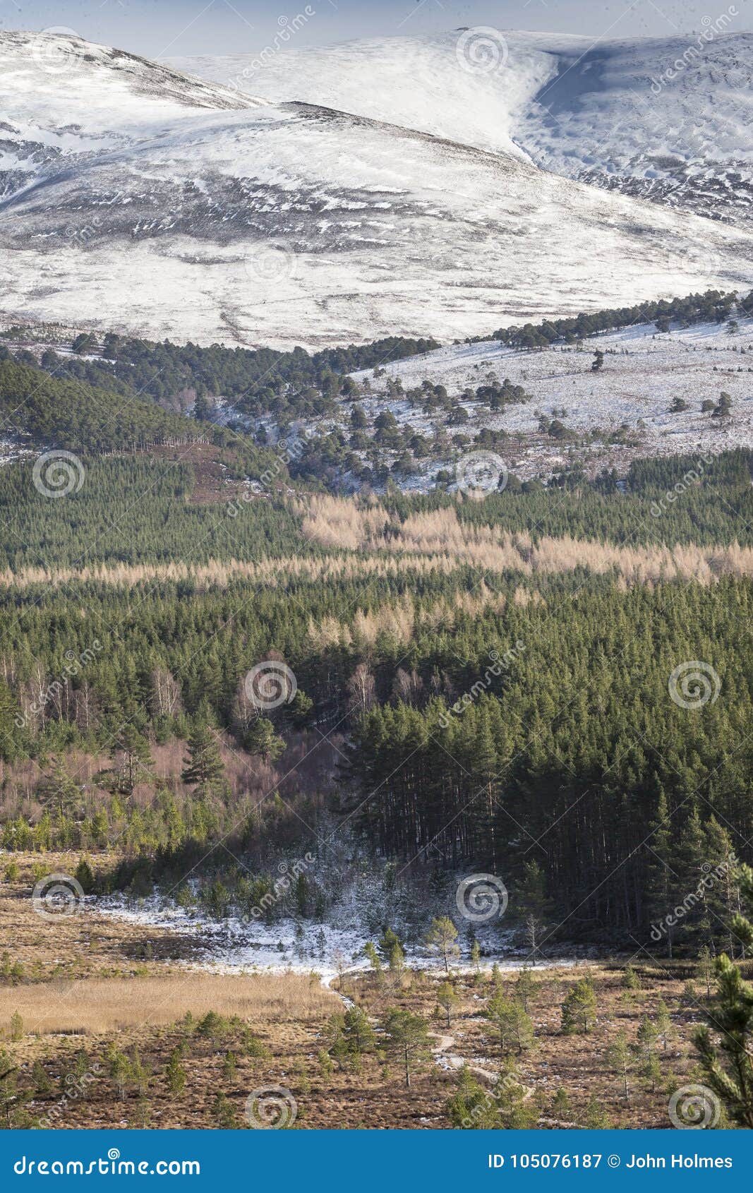 glen feshie track at inshriach forest in the cairngorms of scotland.