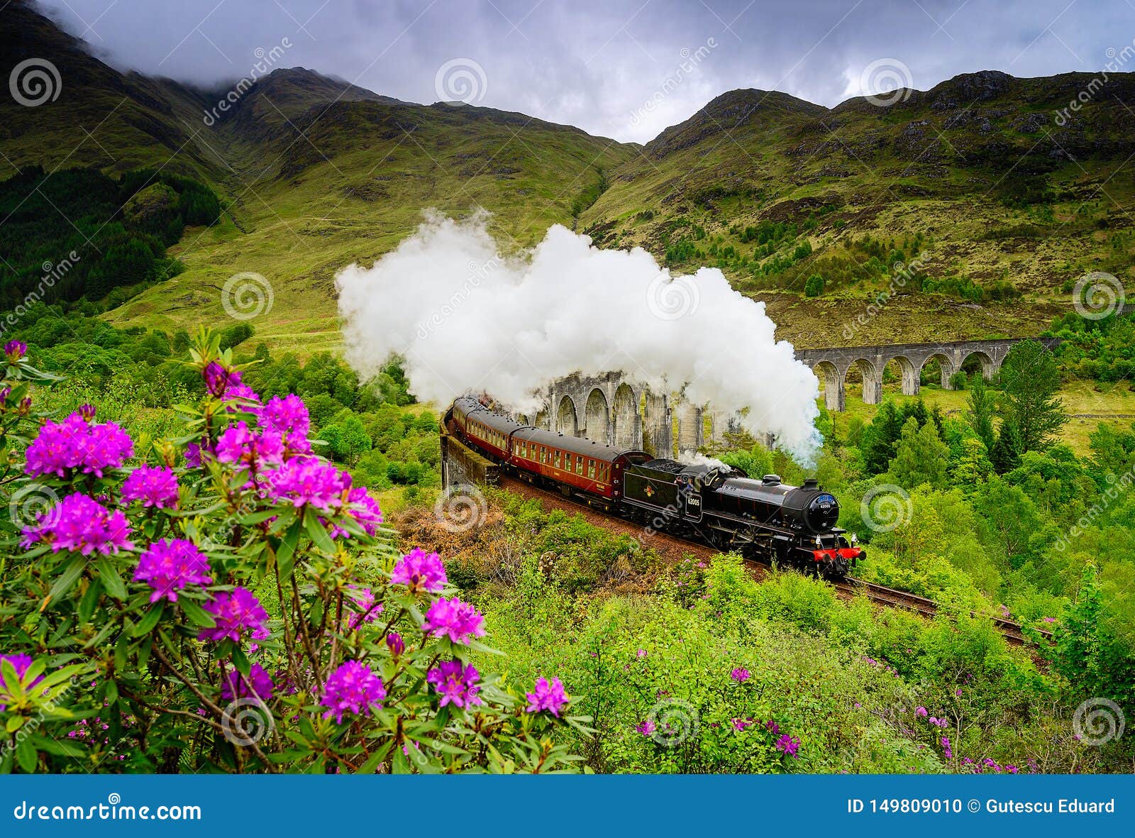 glenfinnan railway viaduct in scotland with a steam train in the spring time
