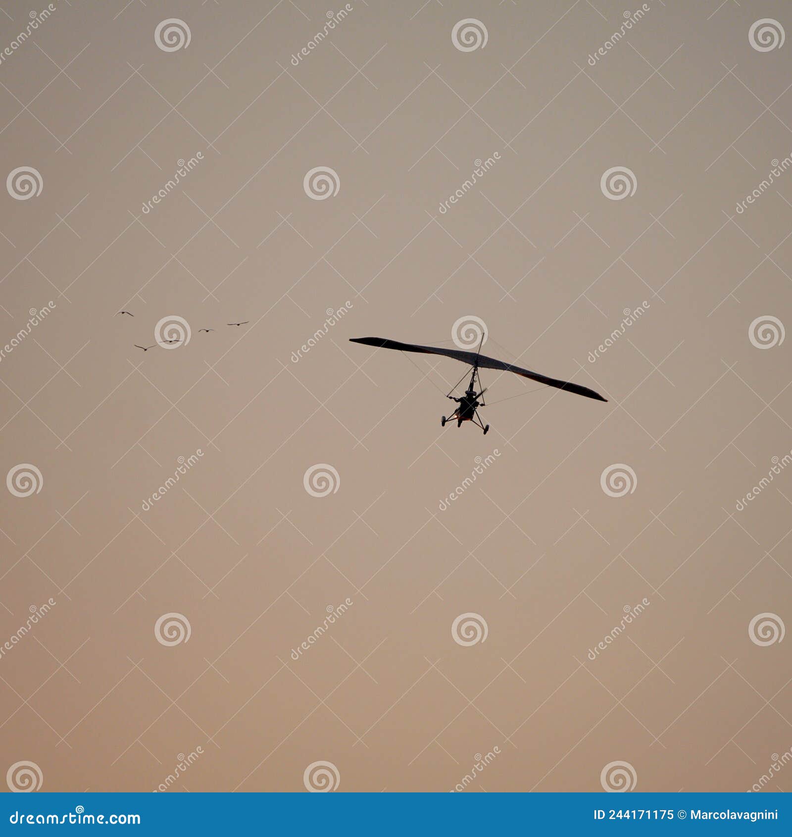 Glider flying in the sky stock image. Image of leisure 244171175