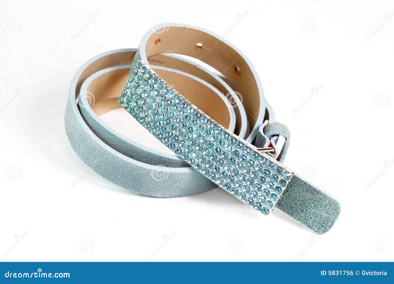 Glittery belt stock photo. Image of suede, sparkly, fashion 5831756