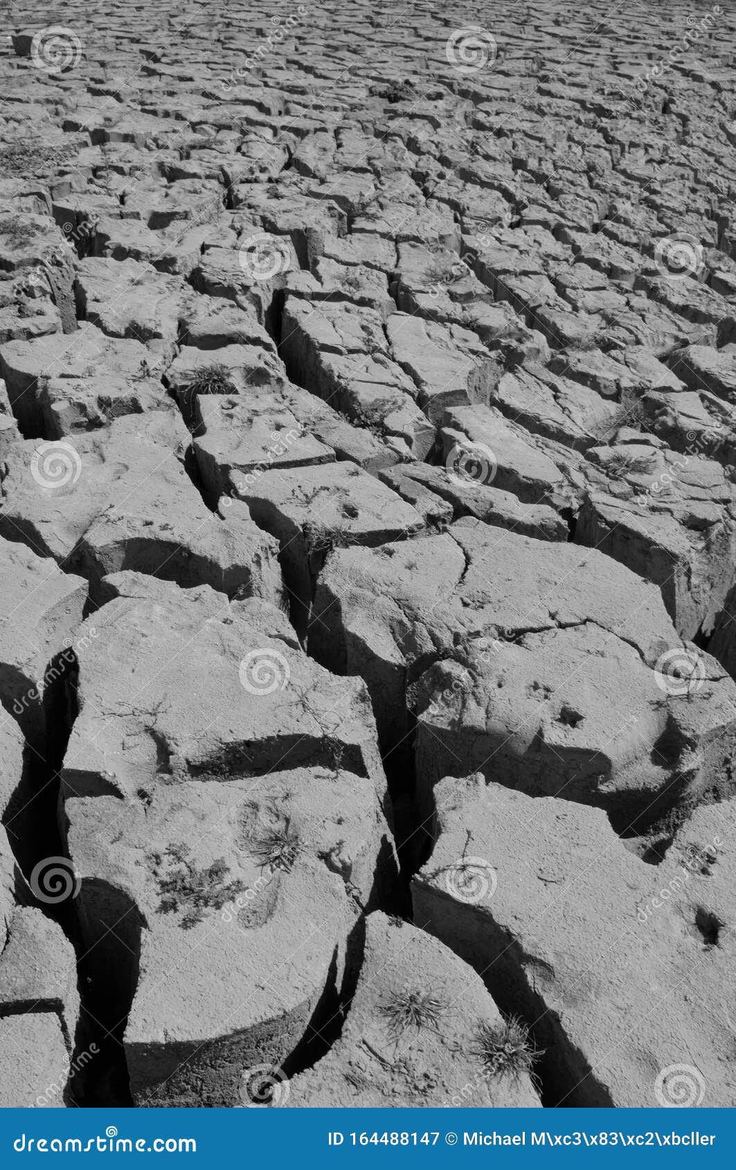 global clima change: dry earth at the mekong river in north laos