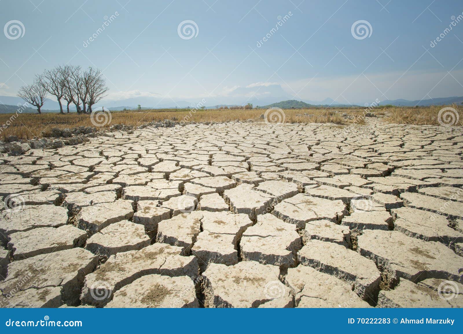 global warming issue, ground land are dry, drought conditions