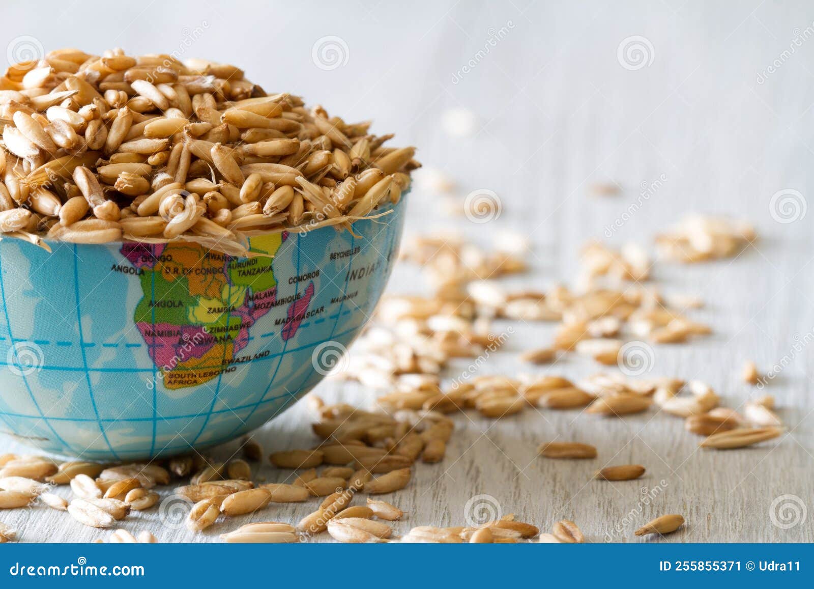 globe filled with grain, concept of global food scarcity and hunger, export and import cereal