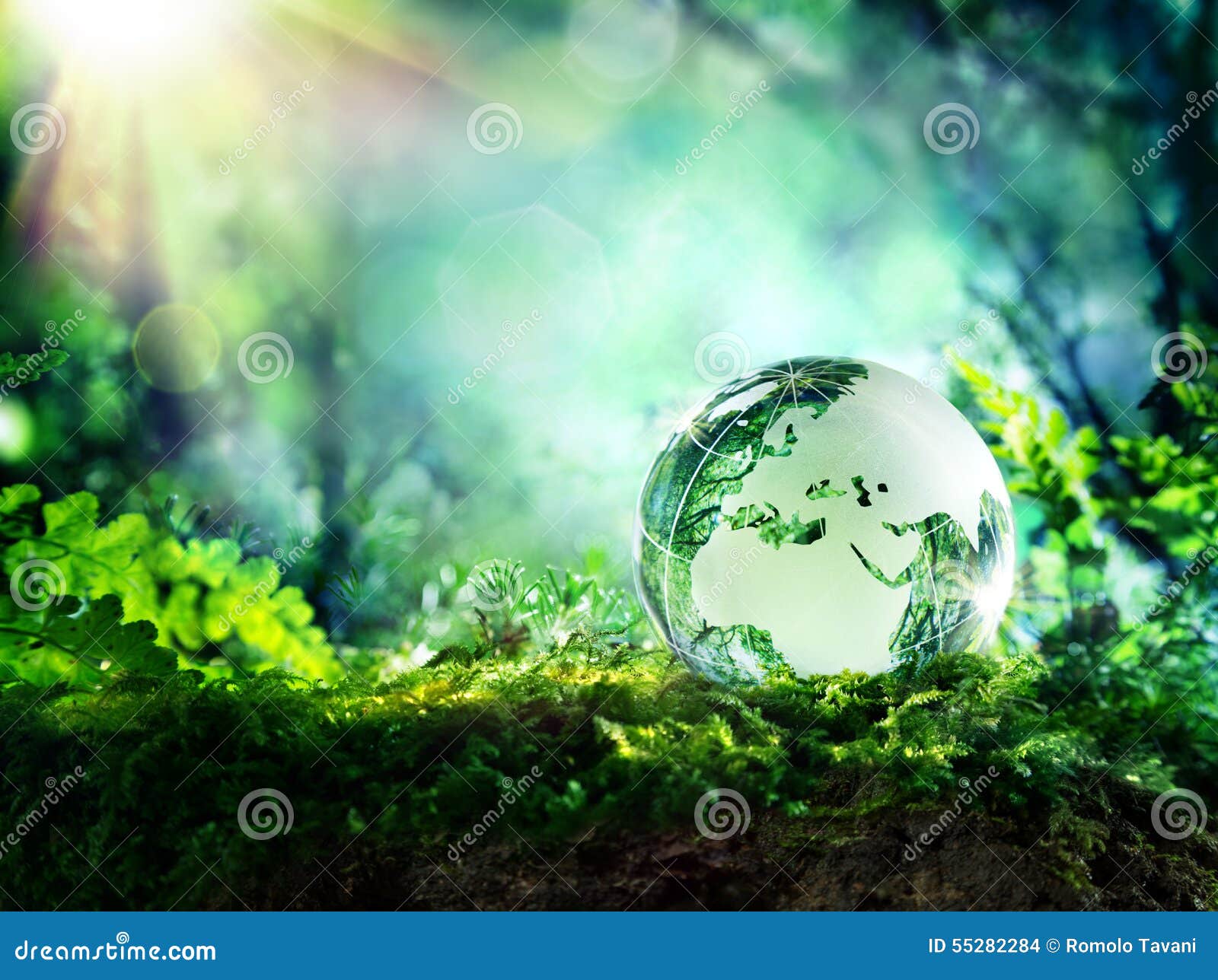globe on moss in a forest - europe
