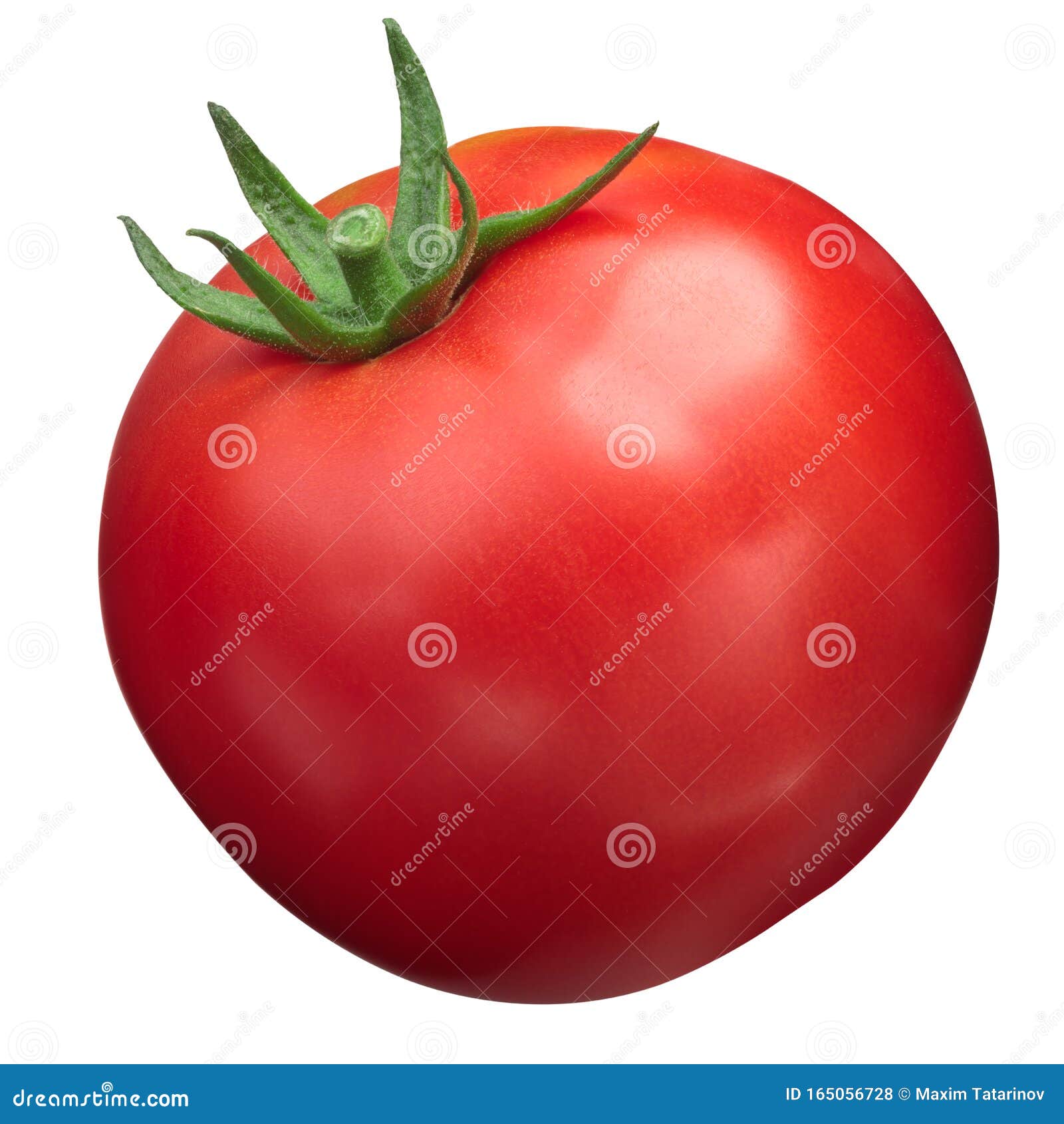 Globe Tomato S. Lycopersicum, Paths Stock Photo Image of tomato