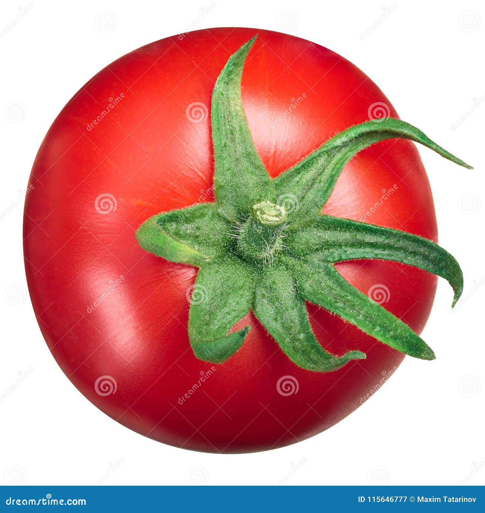 globe tomato top view, calyx up