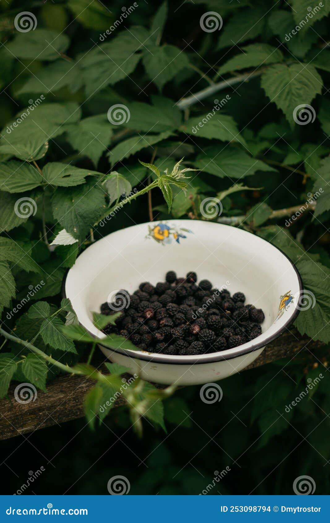 Av4 Us Stock Photos - Free & Royalty-Free Stock Photos from Dreamstime