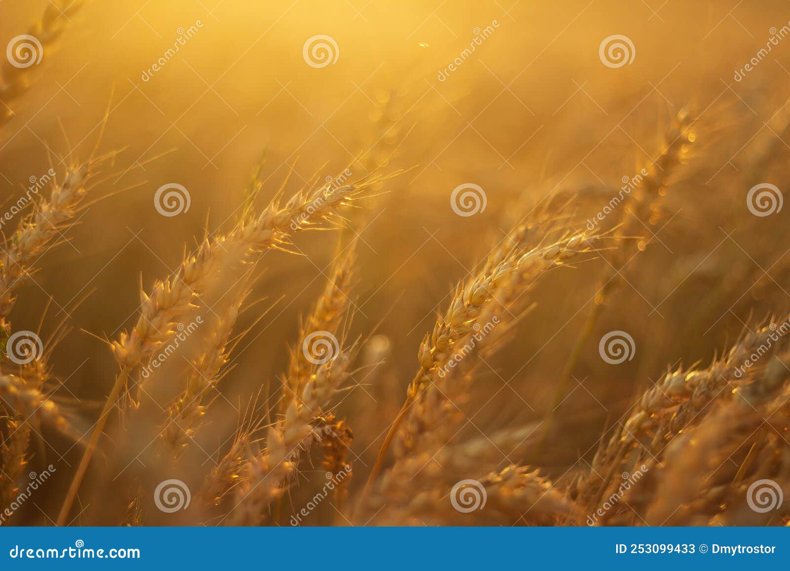 Av4 Us Stock Photos - Free & Royalty-Free Stock Photos from Dreamstime