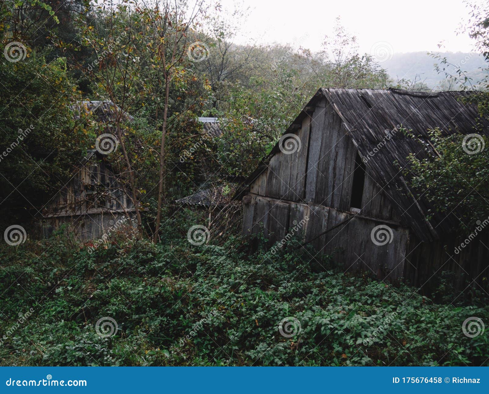 Gloomy Wooden Houses in the Fog in the Middle of the Forest Stock Photo ...