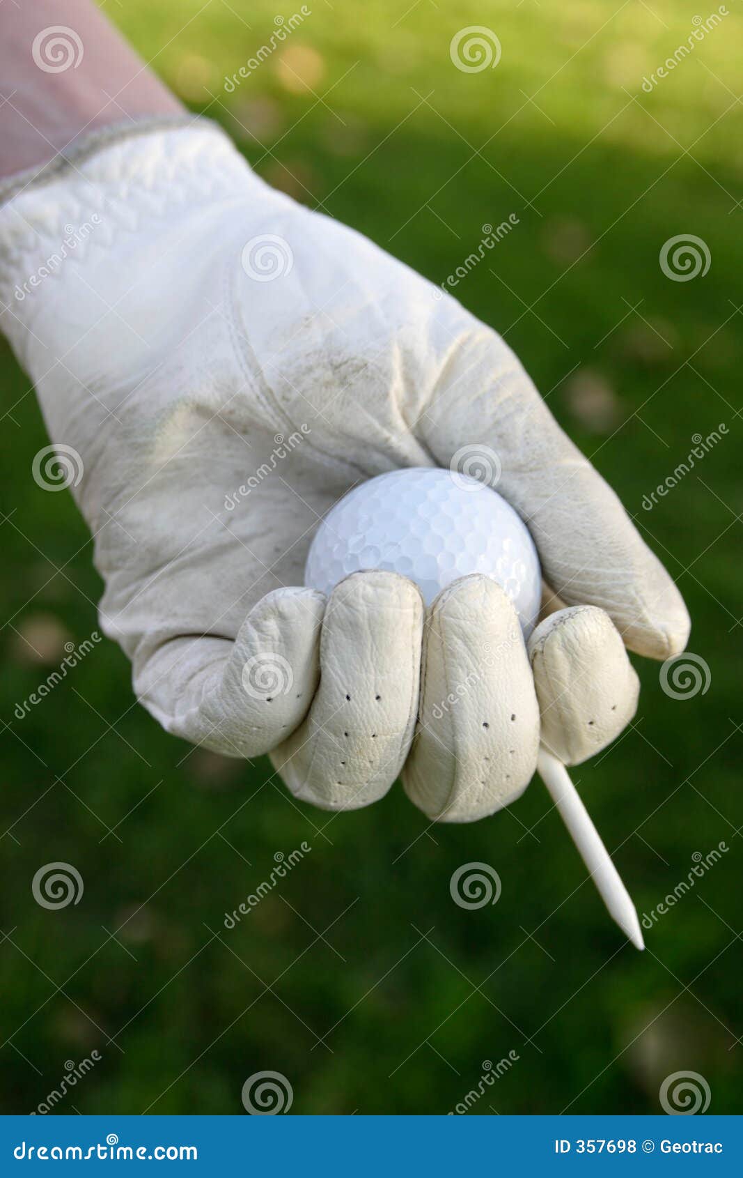 Glove on Hand Holding Golf Ball and Tee Stock Photo Image of person, body 357698