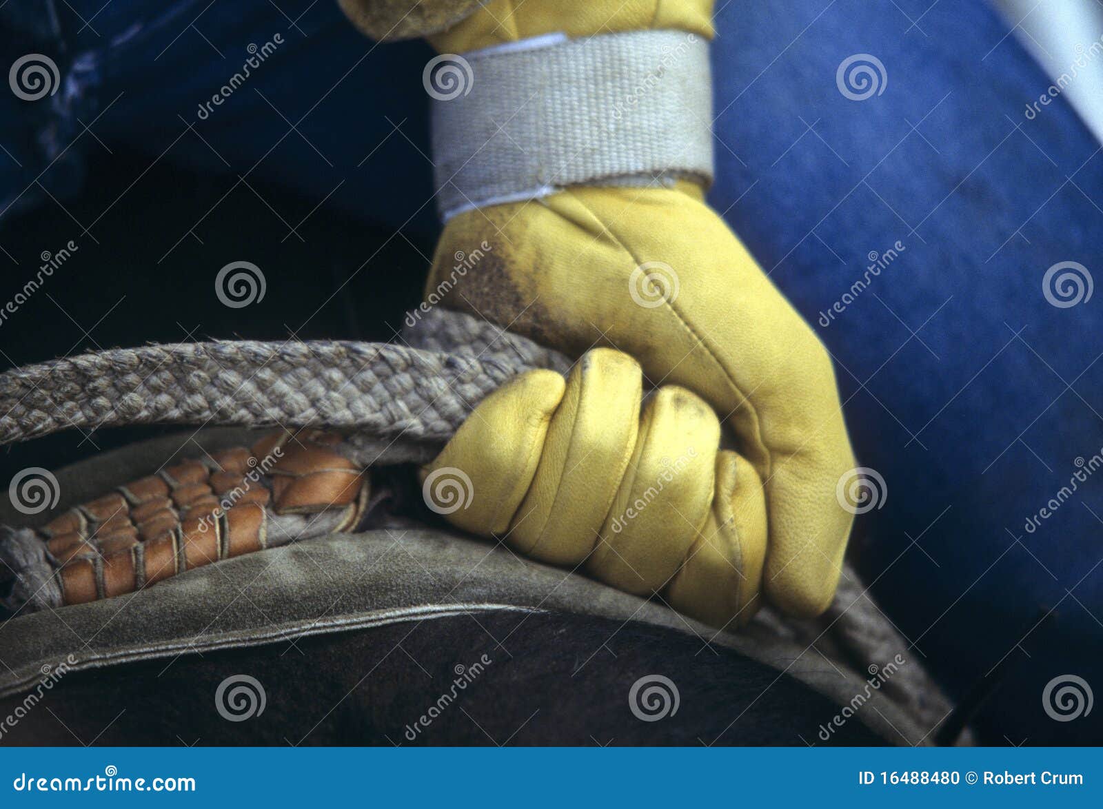 glove of rodeo cowboy gripping rope