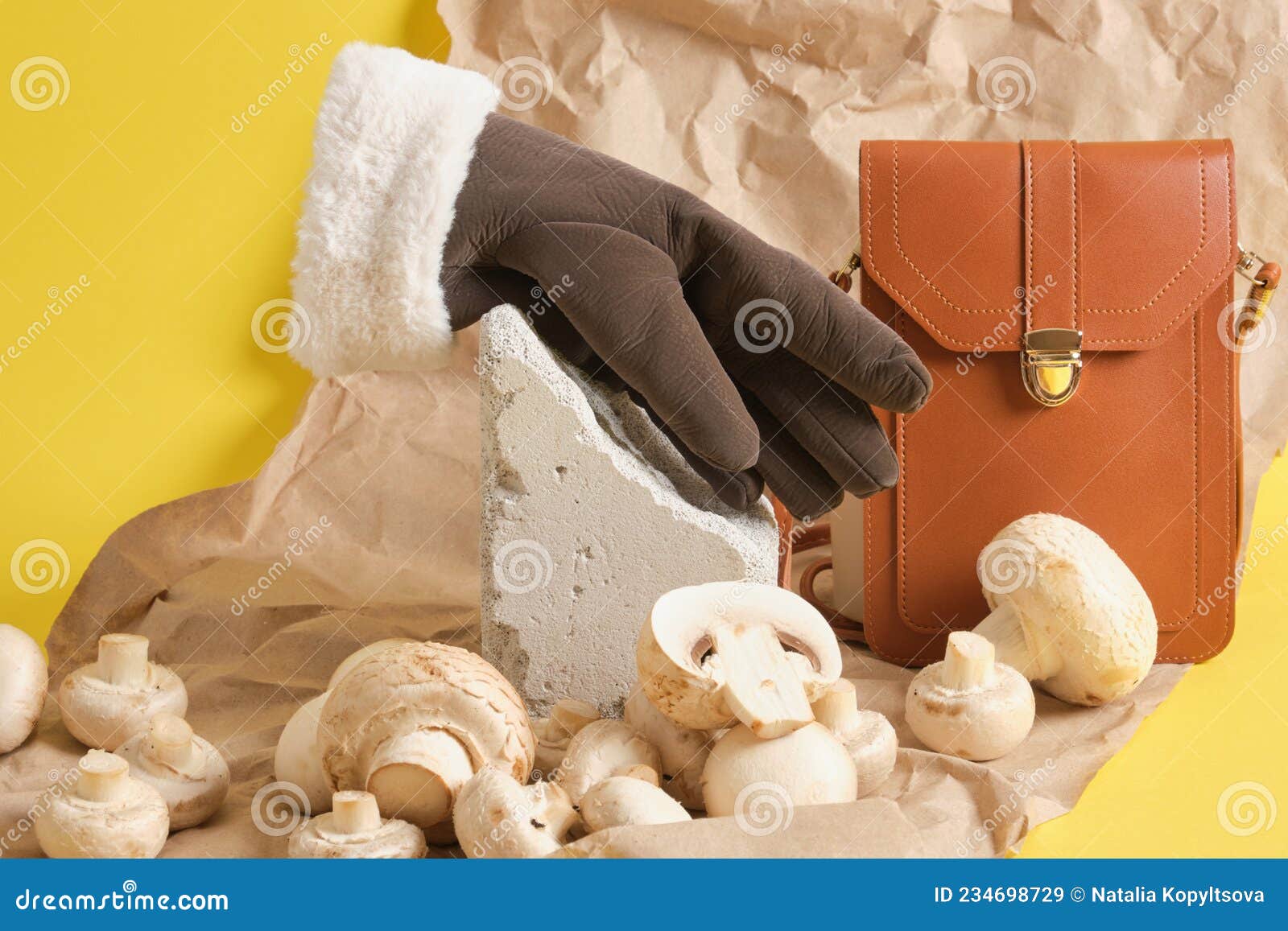 Gloves and Champignons on a Yellow Background, Vegan Leather Concept Stock Image - Image of fibre, mushroom: 234698729 Gloves and Champignons on a Yellow Background, Vegan Leather Concept Stock Image - Image of fibre, mushroom: 234698729