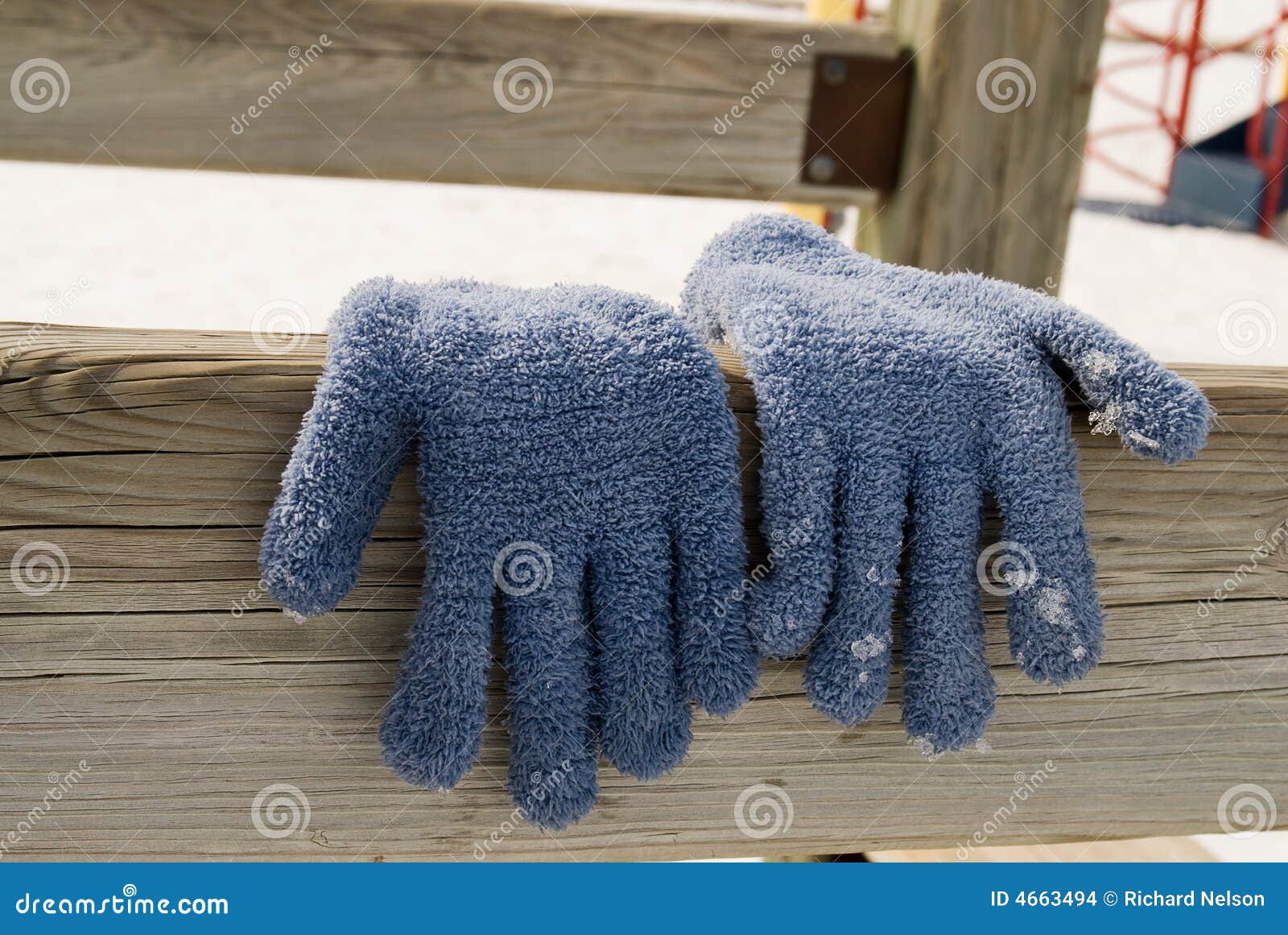 Gloves Hanging To Dry stock photo. Image of white, blue 4663494