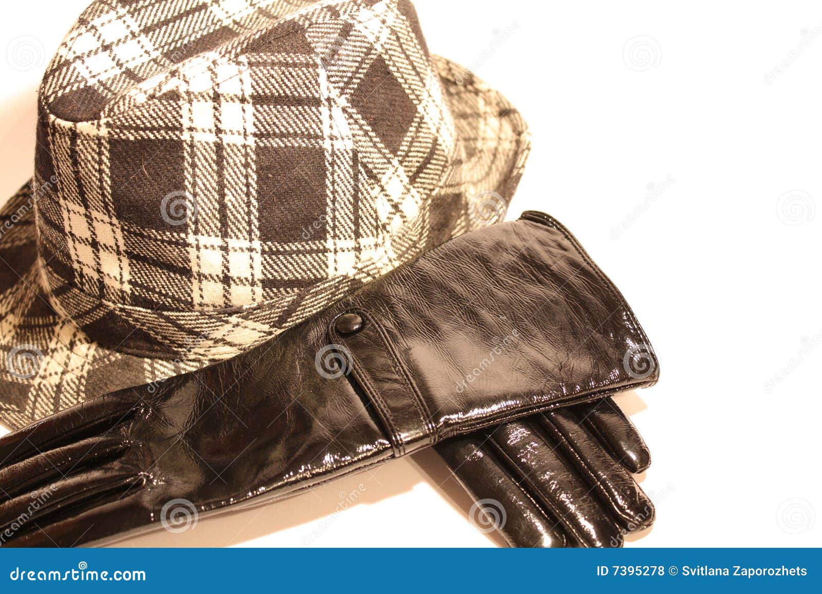 Gloves and hat stock photo. Image of varnishing, representative 7395278