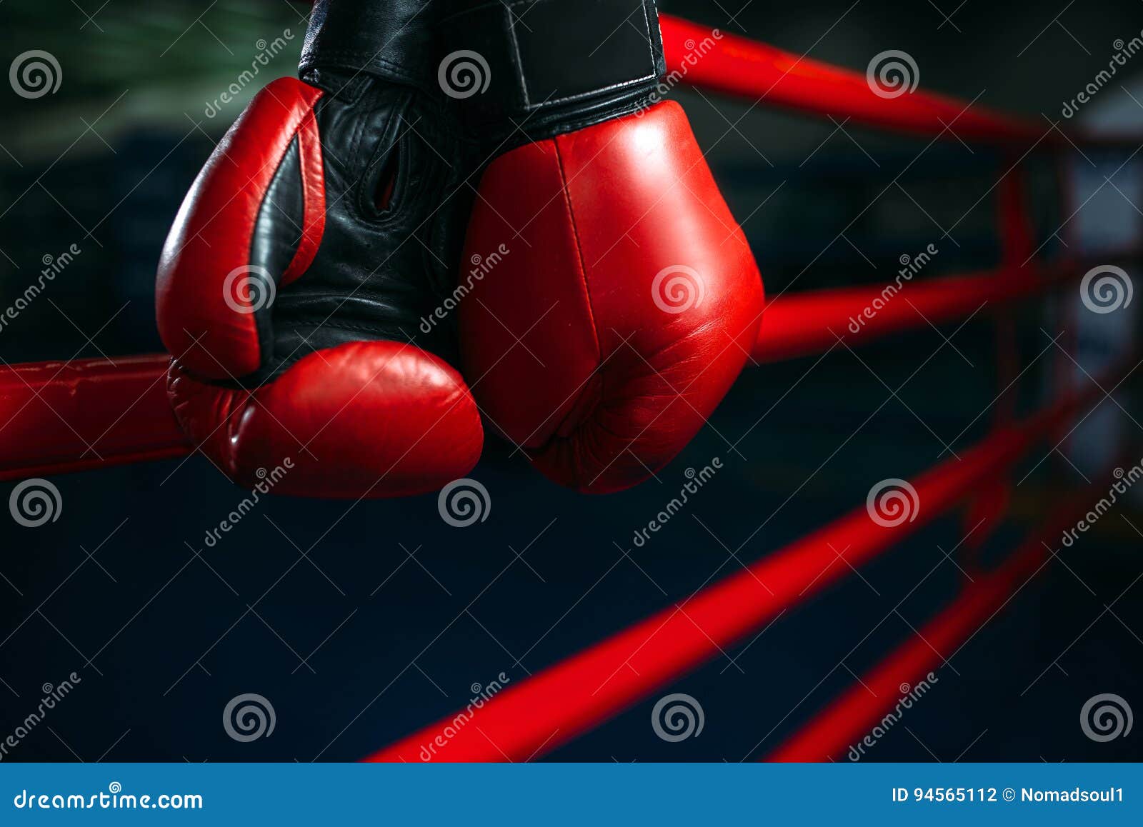 gloves on the ring ropes, boxing concept, nobody