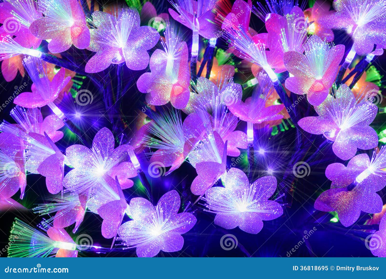 Glowing Abstract Flowers on a Dark Background Stock Image Image of