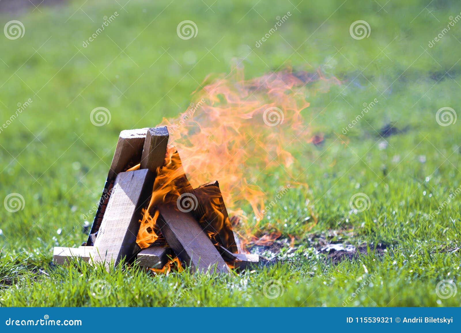 Glowing Bonfire on Nature. Burning Wooden Planks Outside on Summer Day ...