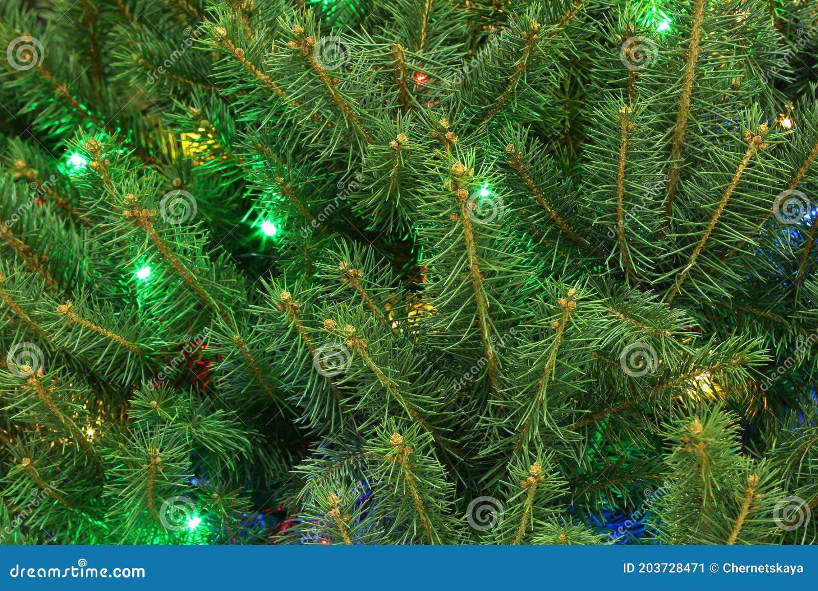 Glowing Bright Fairy Lights on Christmas Tree Stock Image - Image of ...
