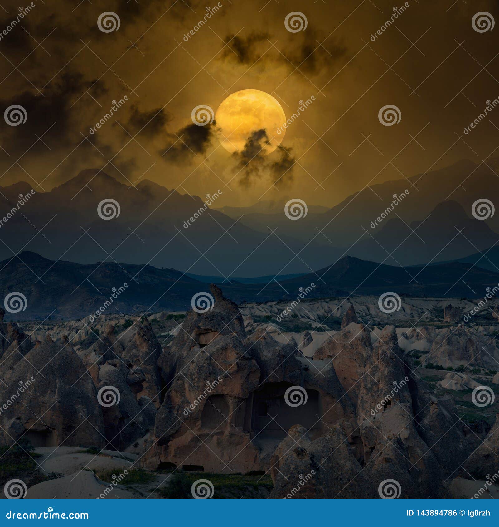 My Image 14