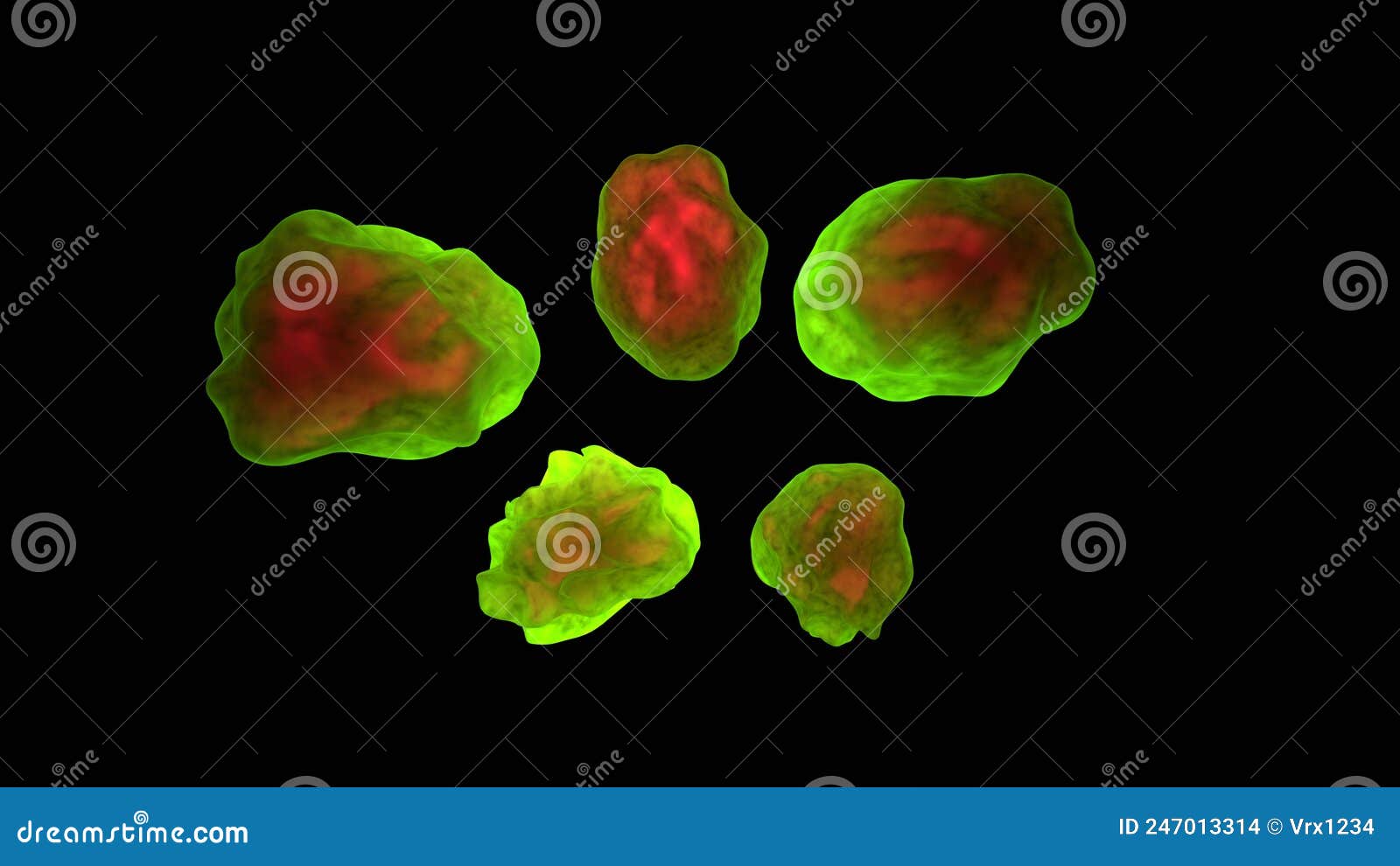 organoids 3d  render  view 1