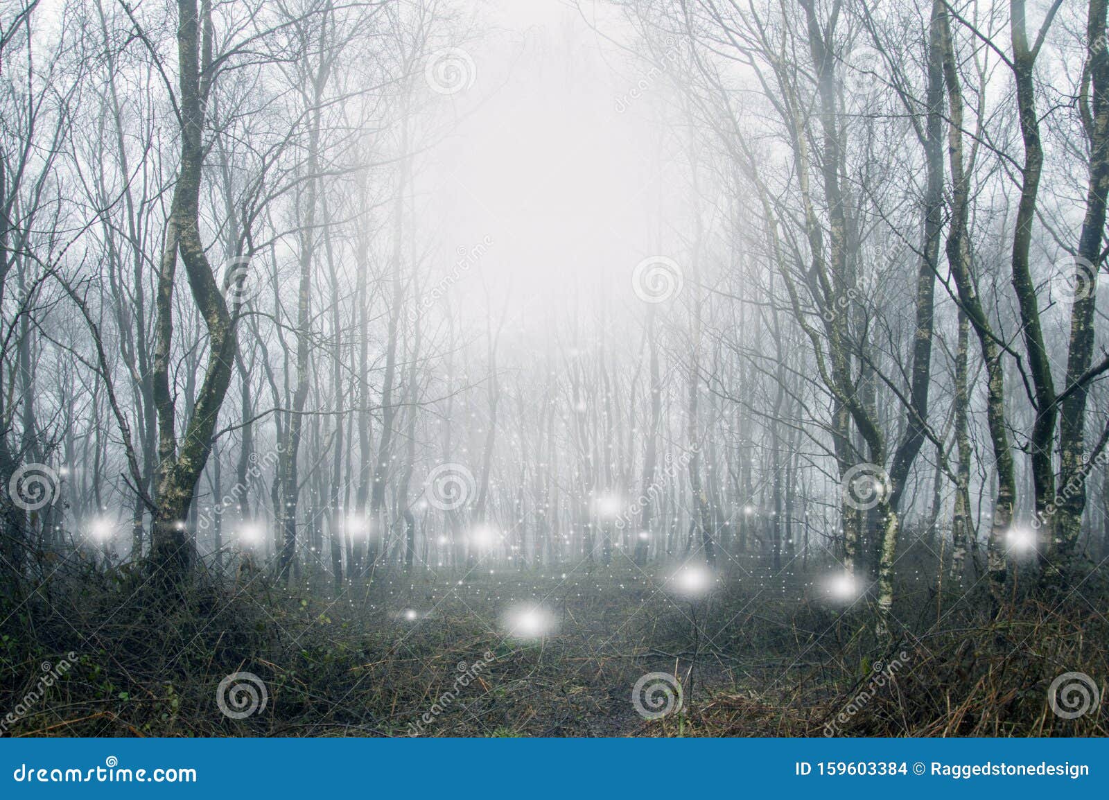 glowing spooky, supernatural white lights and orbs floating in a forest on a moody, misty winters day