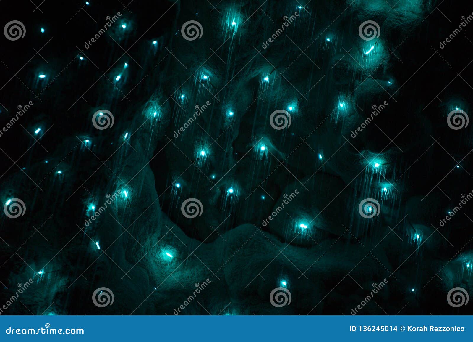 download glowworms download glowworms