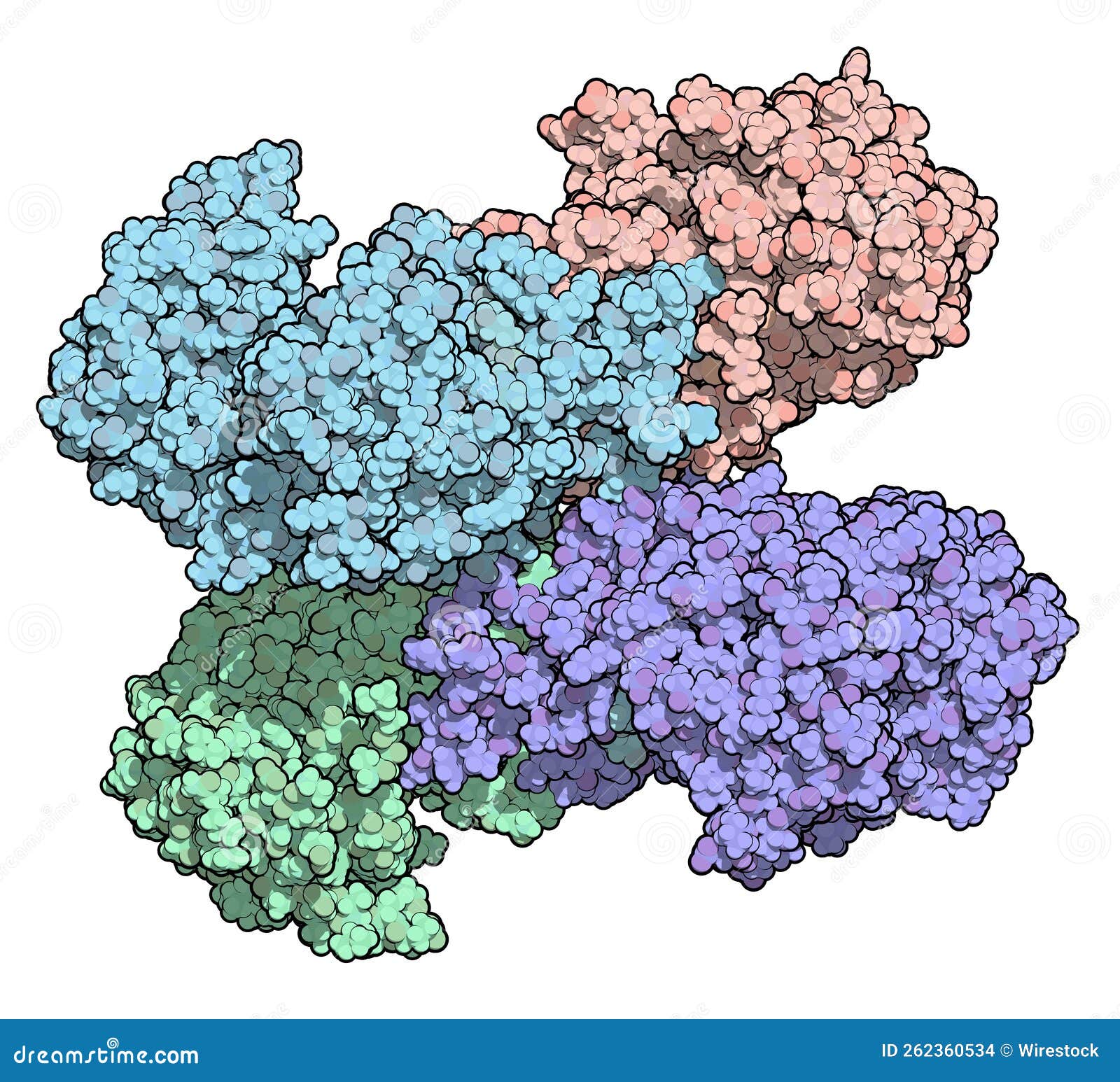 glucose-6-phosphate dehydrogenase (g6pd) protein. 3d .