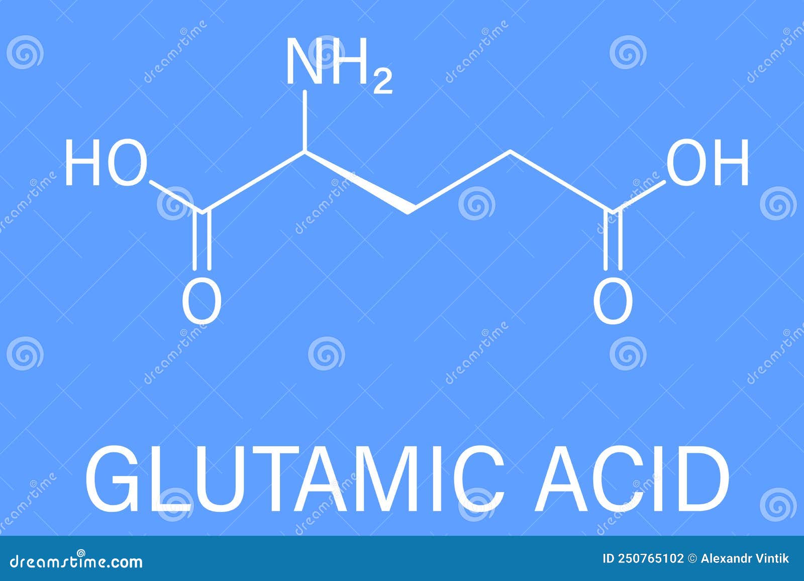 glutamic acid or l-glutamic acid, glu, e, amino acid and neurotransmitter molecule. skeletal formula.