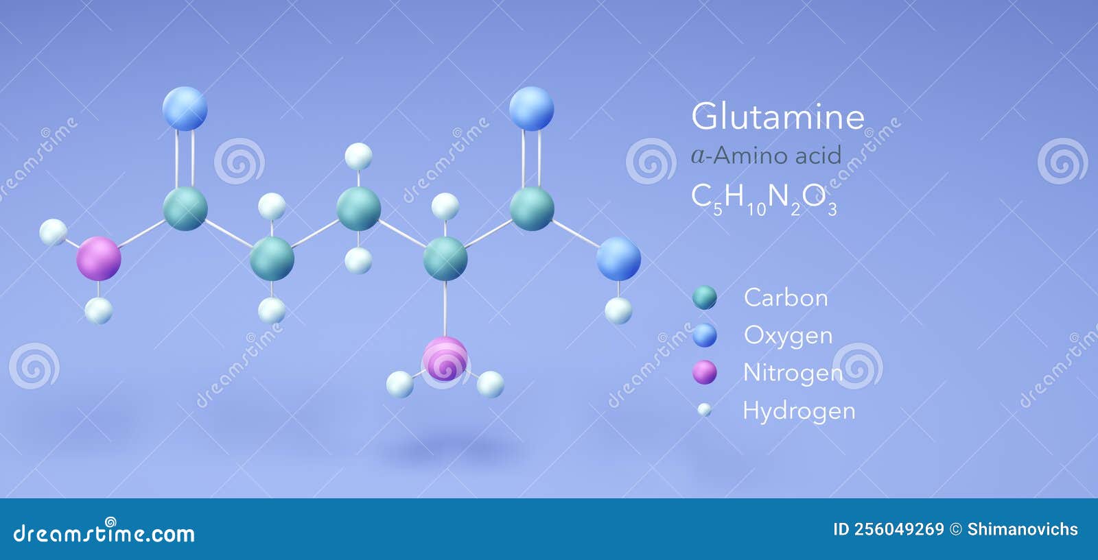Glutamine, Molecular Structures, Amino Acid, 3d Model, Structural