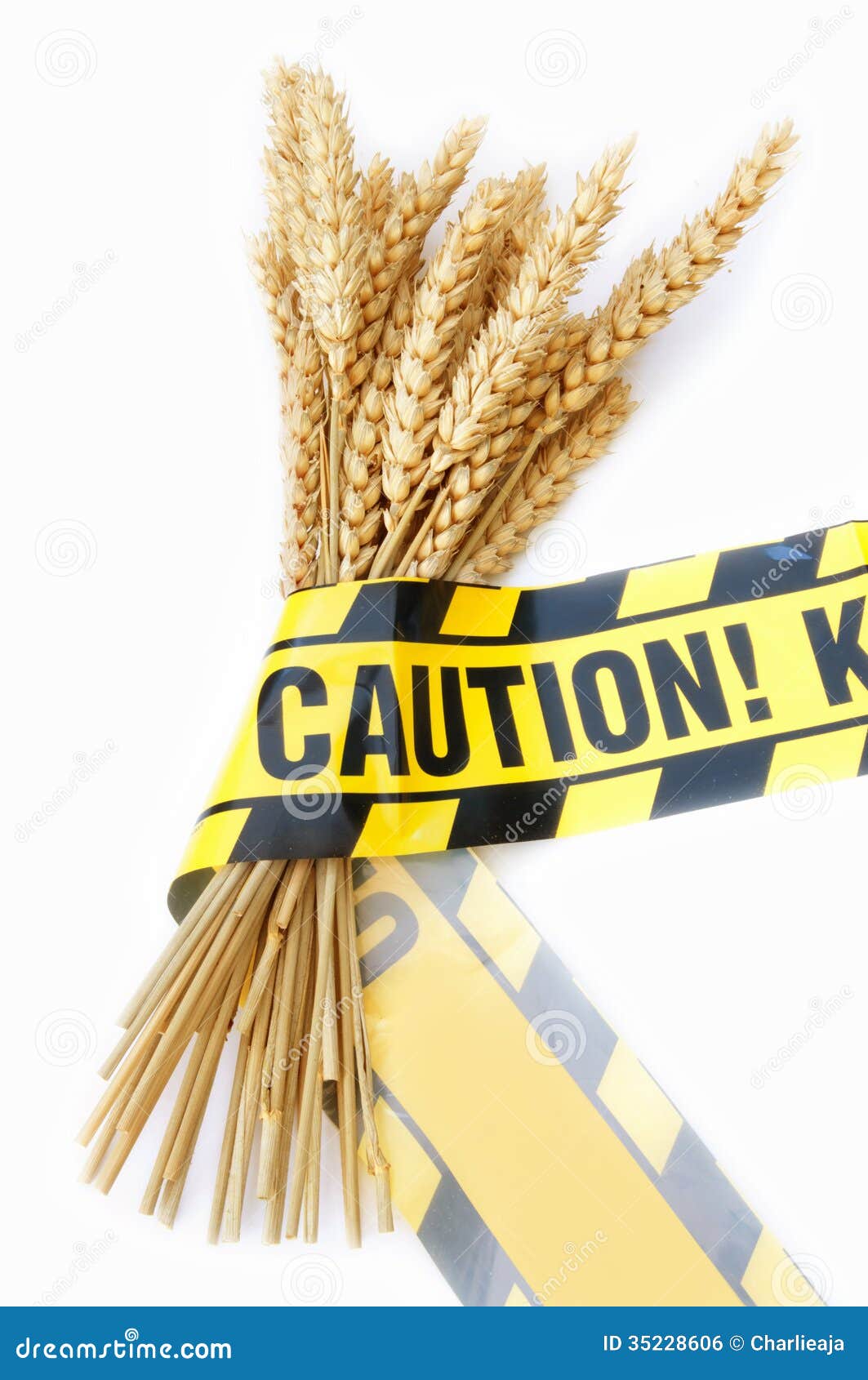 Gluten free diet stock photo. Image of gluten, wheat 35228606