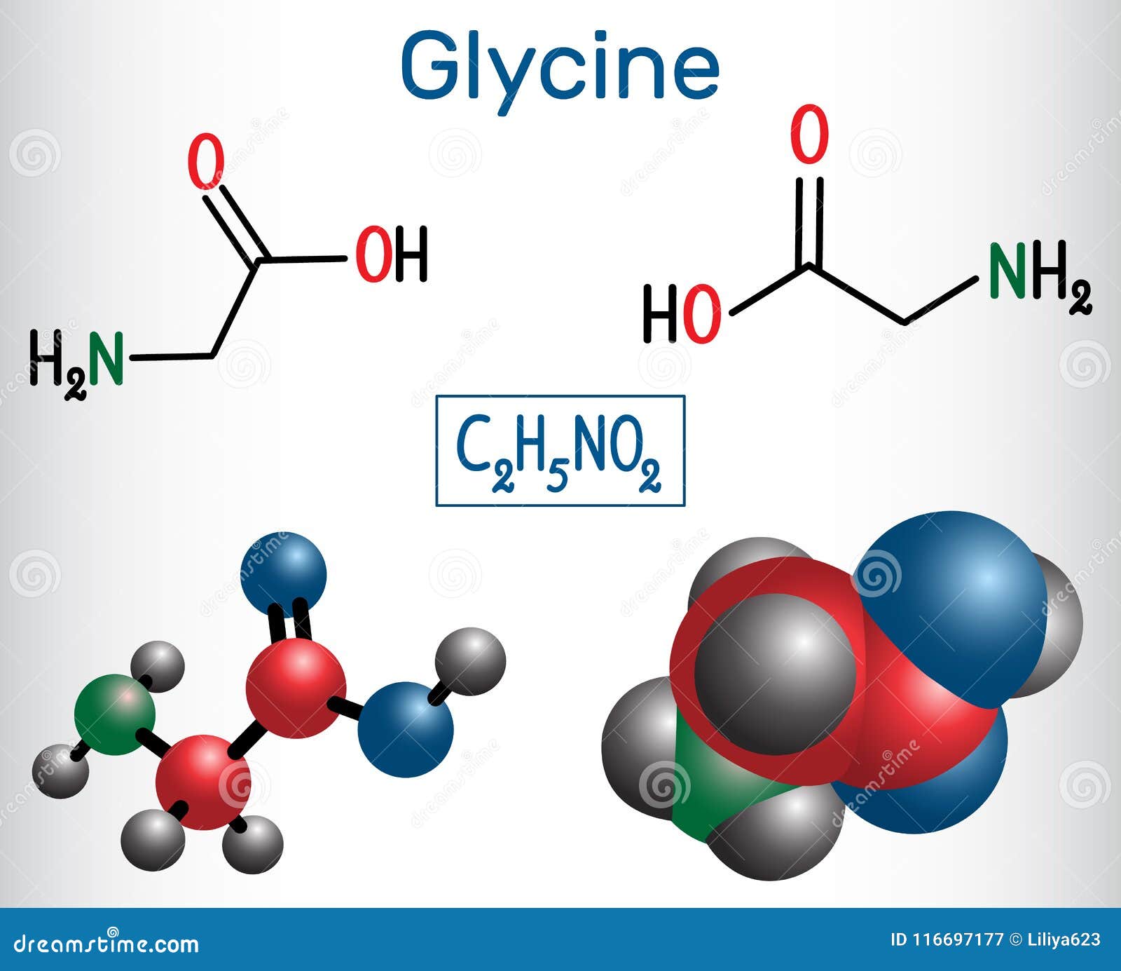 Top 87+ draw structure of glycine best