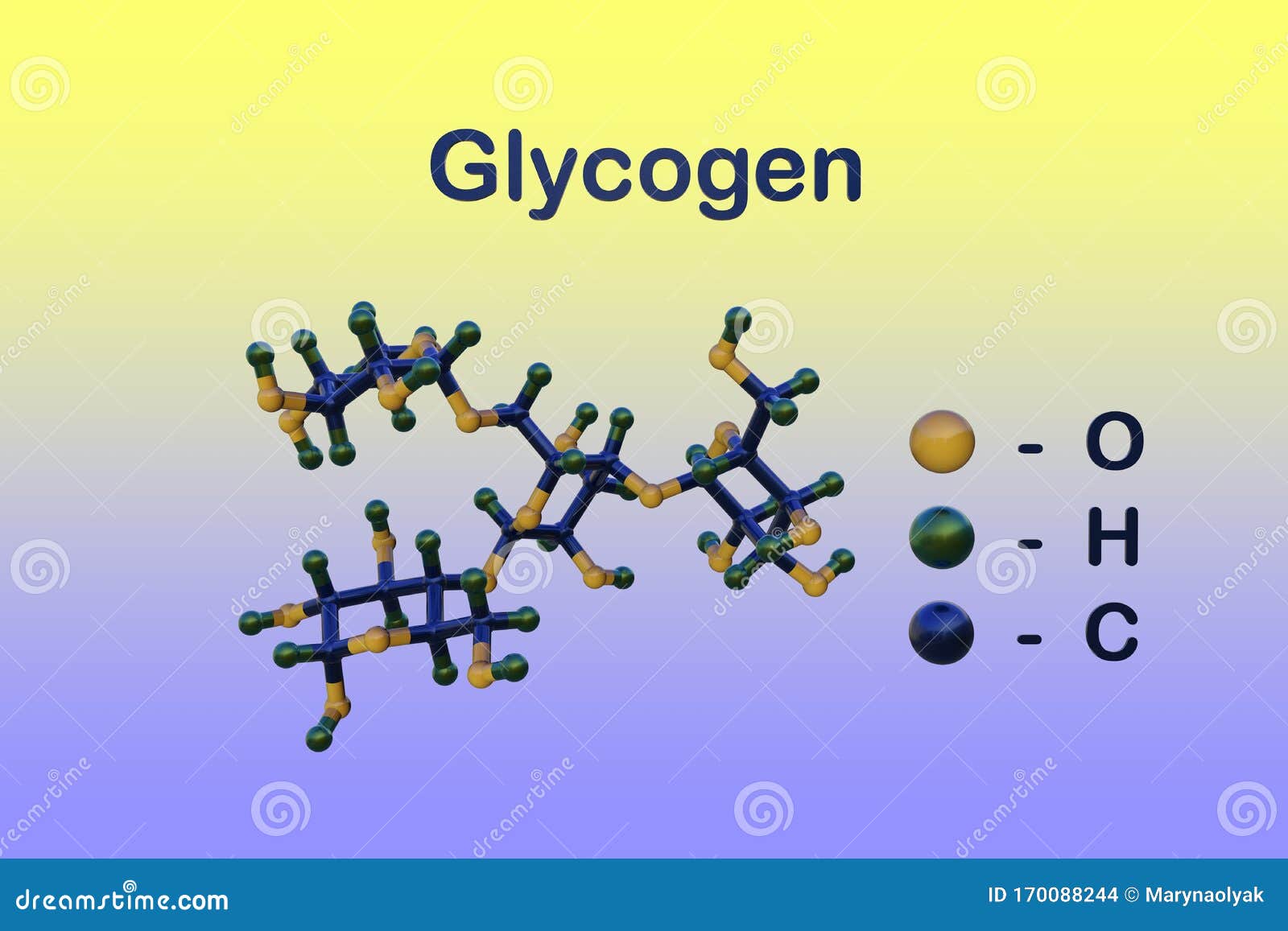 glycogen-molecule-colorful-background-polysaccharide-serves-as-form-energy-storage-animals-fungi-bacteria-170088244.jpg