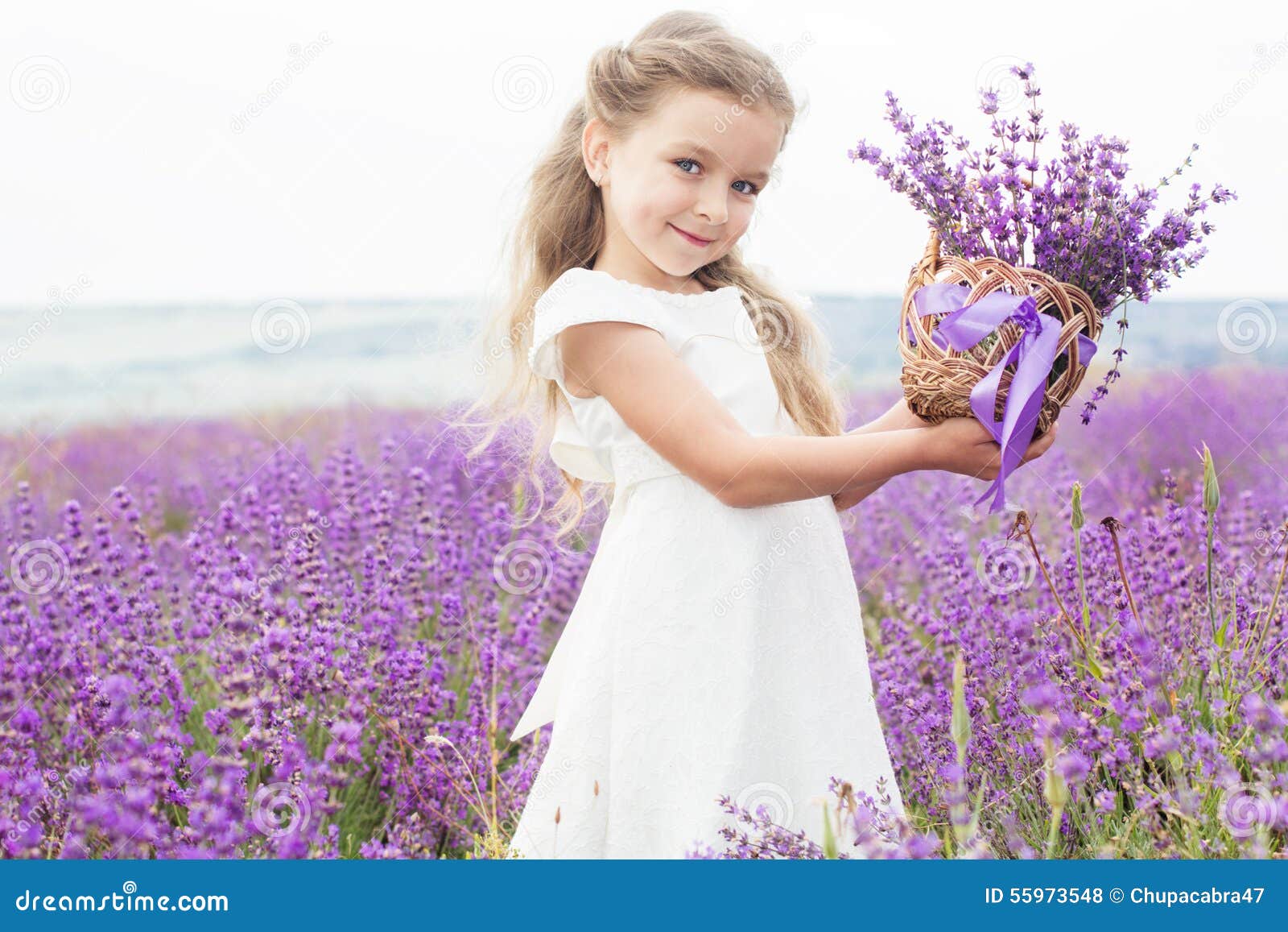 Glückliches kleines Mädchen auf dem Lavendelgebiet mit Korb von. Glückliches nettes kleines Mädchen trägt weißes Kleid auf einem Lavendelgebiet, das einen Korb voll von den purpurroten Blumen hält