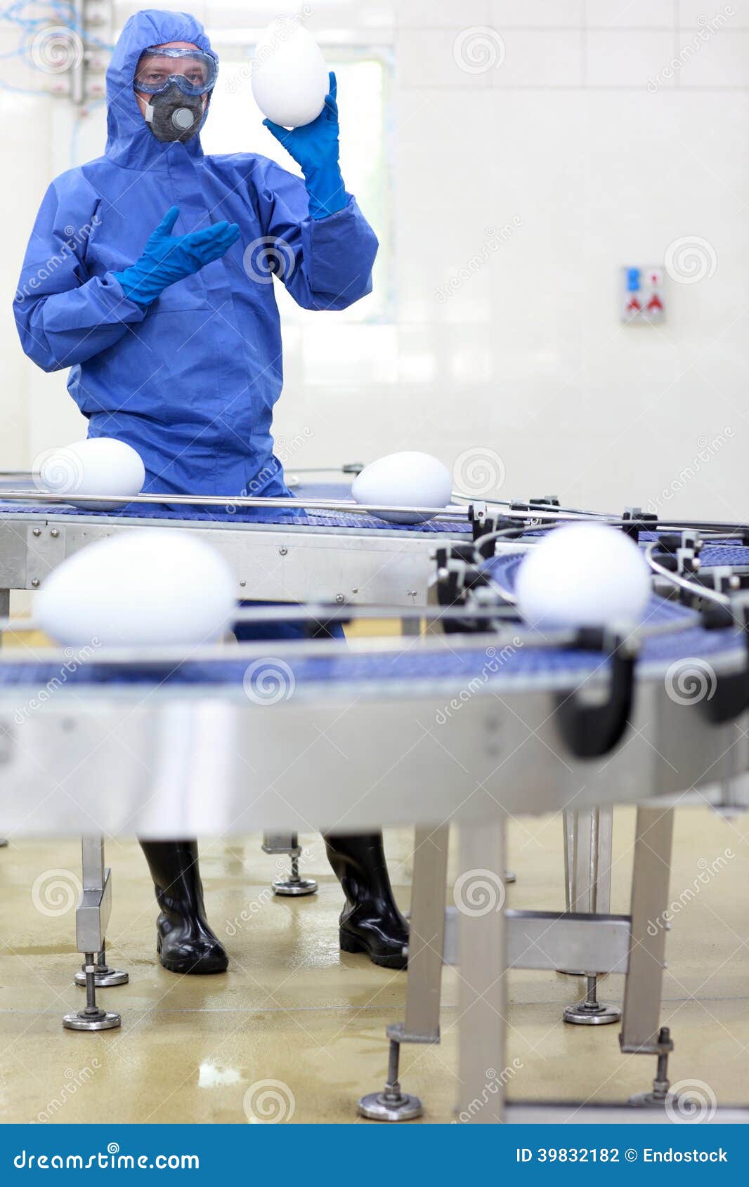 gm0 - engineer showing xxl size eggs at production line