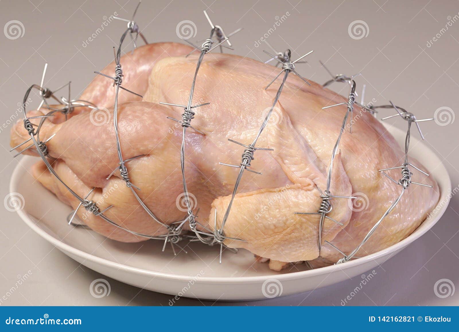 GMO Chicken on a White Plate Stock Image Image of labeling, inspection 142162821