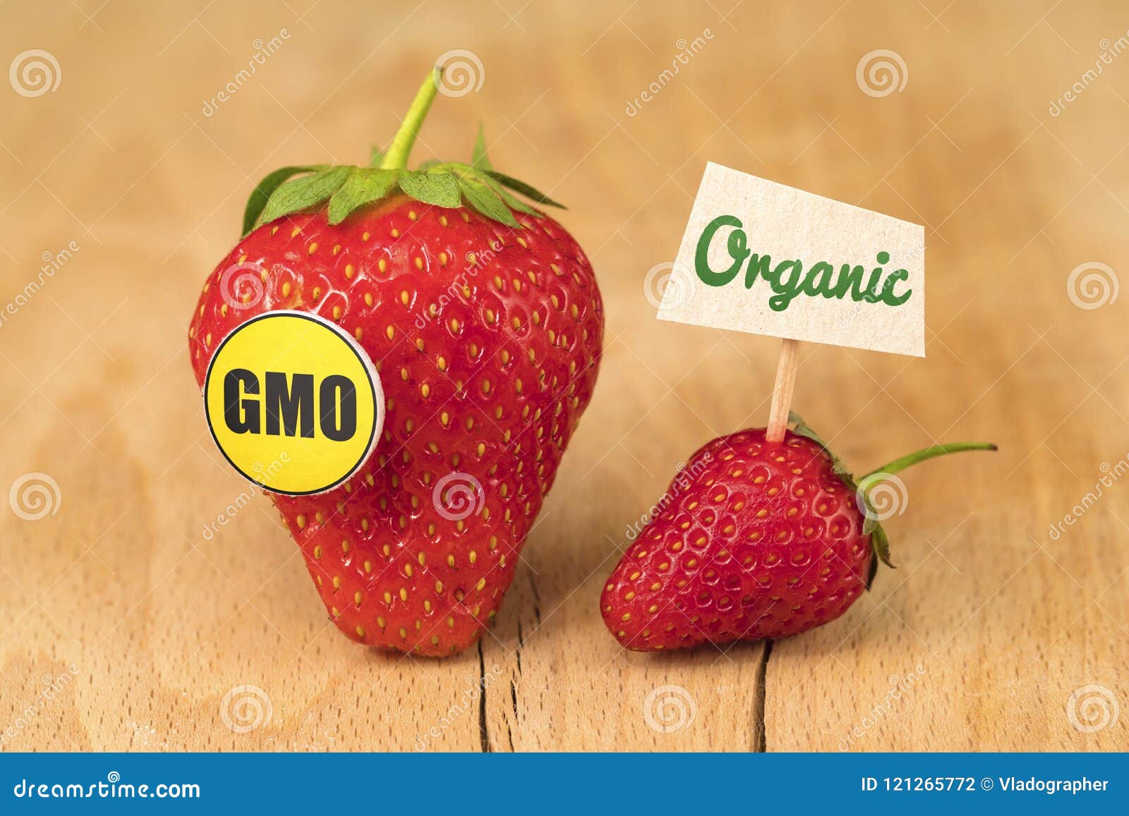 GMO and Organic Strawberry stock photo. Image of ecology 121265772