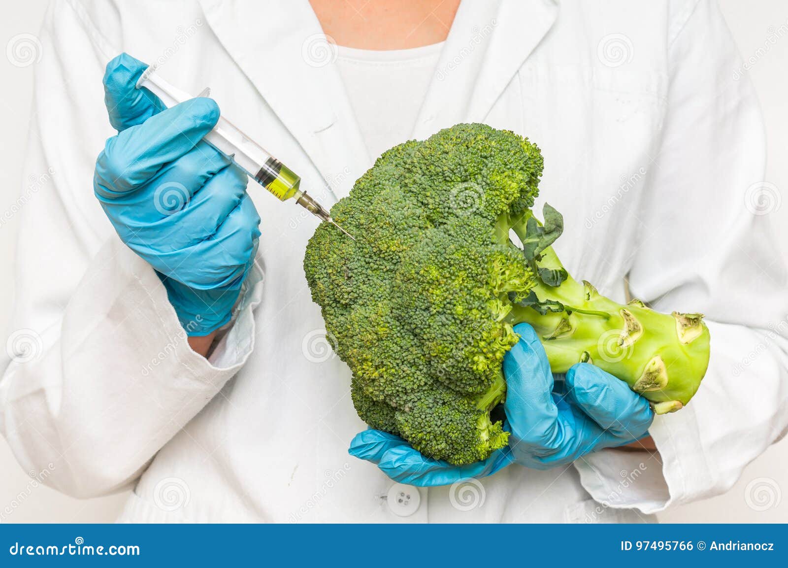GMO Scientist Injecting Liquid from Syringe into Broccoli Stock Photo