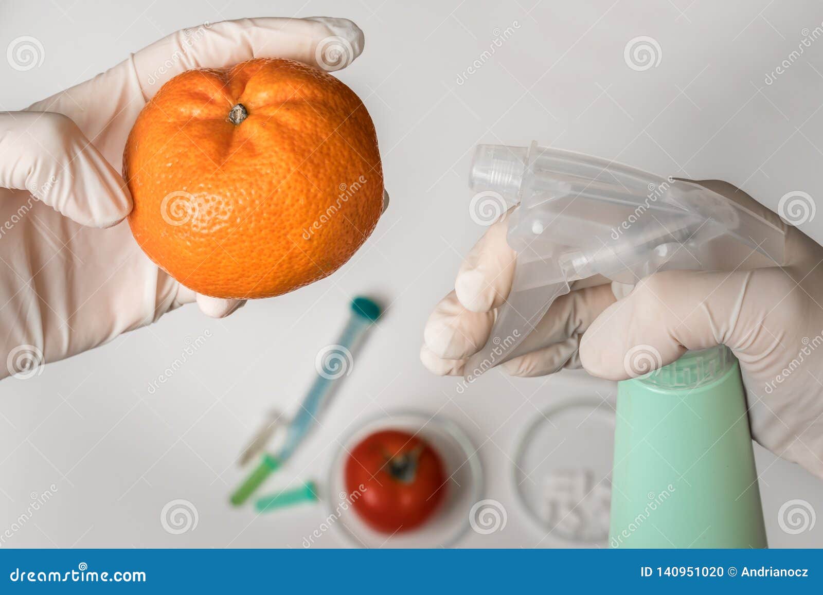 GMO Scientist is Spraying Liquid on Tangerine Stock Photo Image of