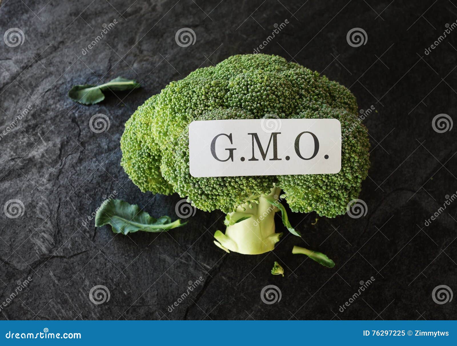 GMO sticker on broccoli stock image. Image of warning 76297225