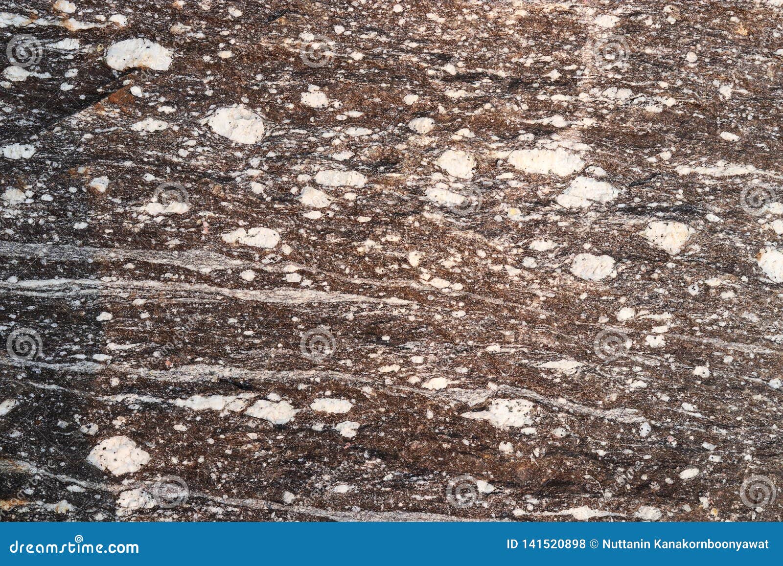 gneiss stone texture - background