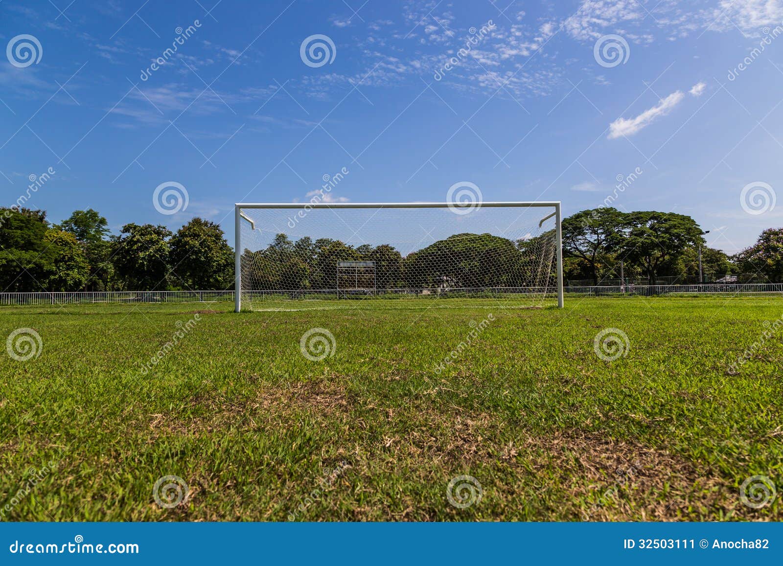 Soccer Football In Goal Net With Green Grass Field Stock Photo, Picture and  Royalty Free Image. Image 18002764.