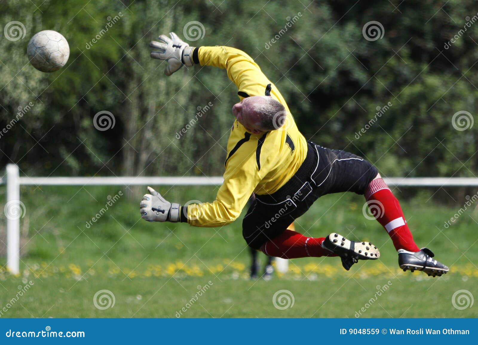 Goalie Goal Keeper editorial stock image. Image of sports 9048559