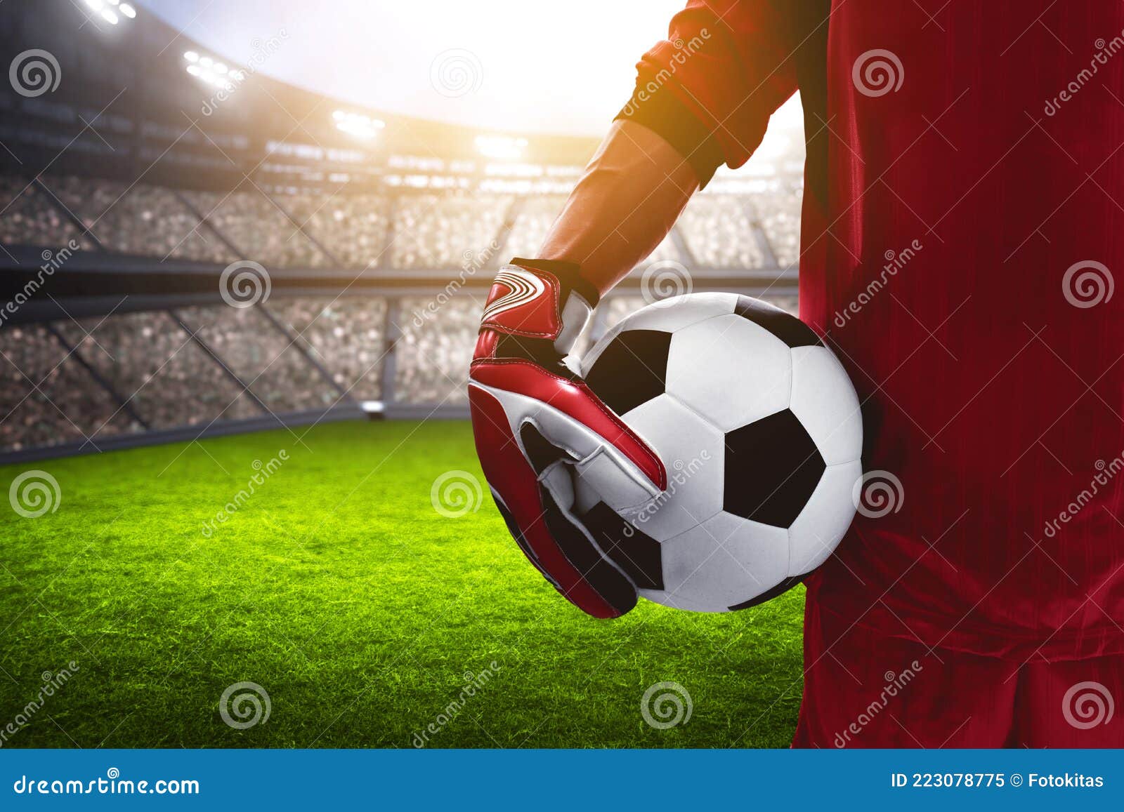 Goalkeeper Hold a Soccer Ball Stock Image Image of champion, grass