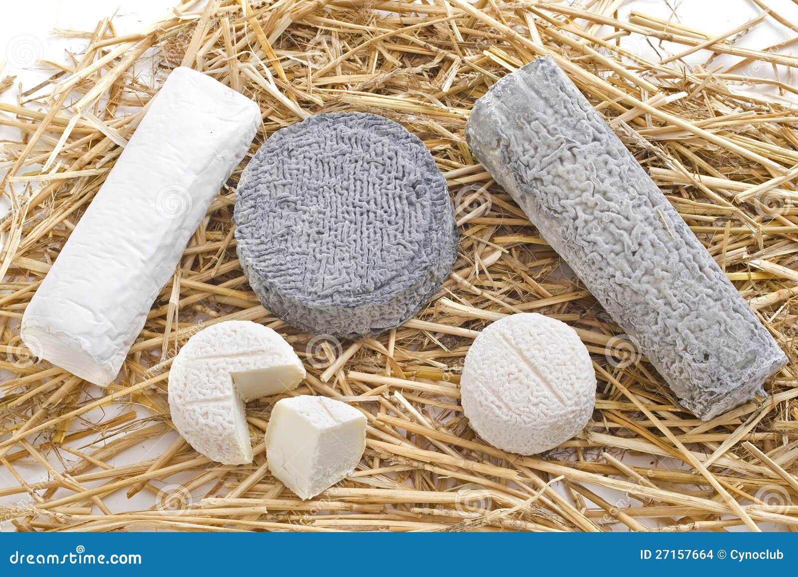 Goat cheeses stock photo. Image of goat, buche, variety 27157664