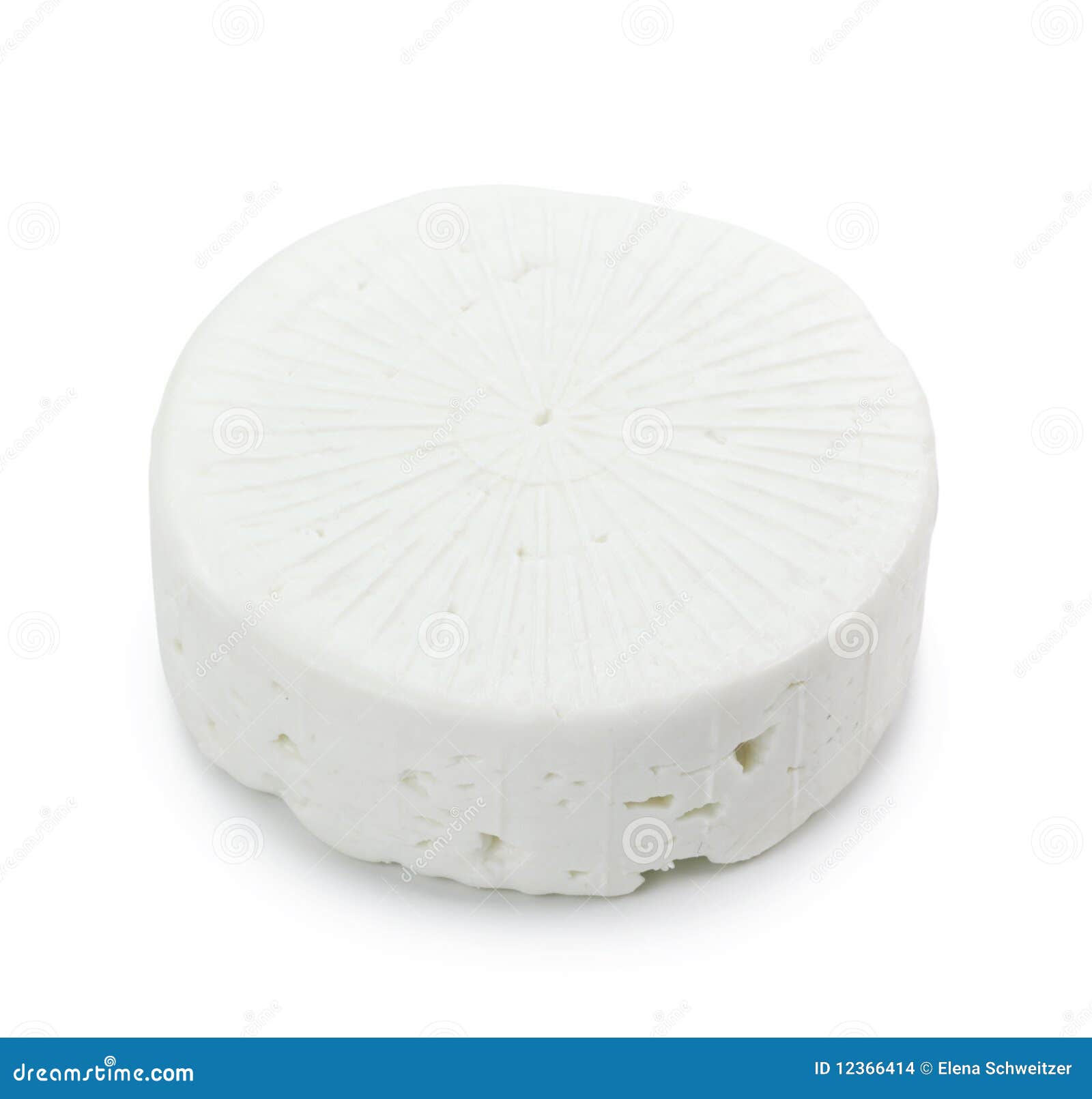 Goat milk cheese stock photo. Image of milk, studio, freshness 12366414