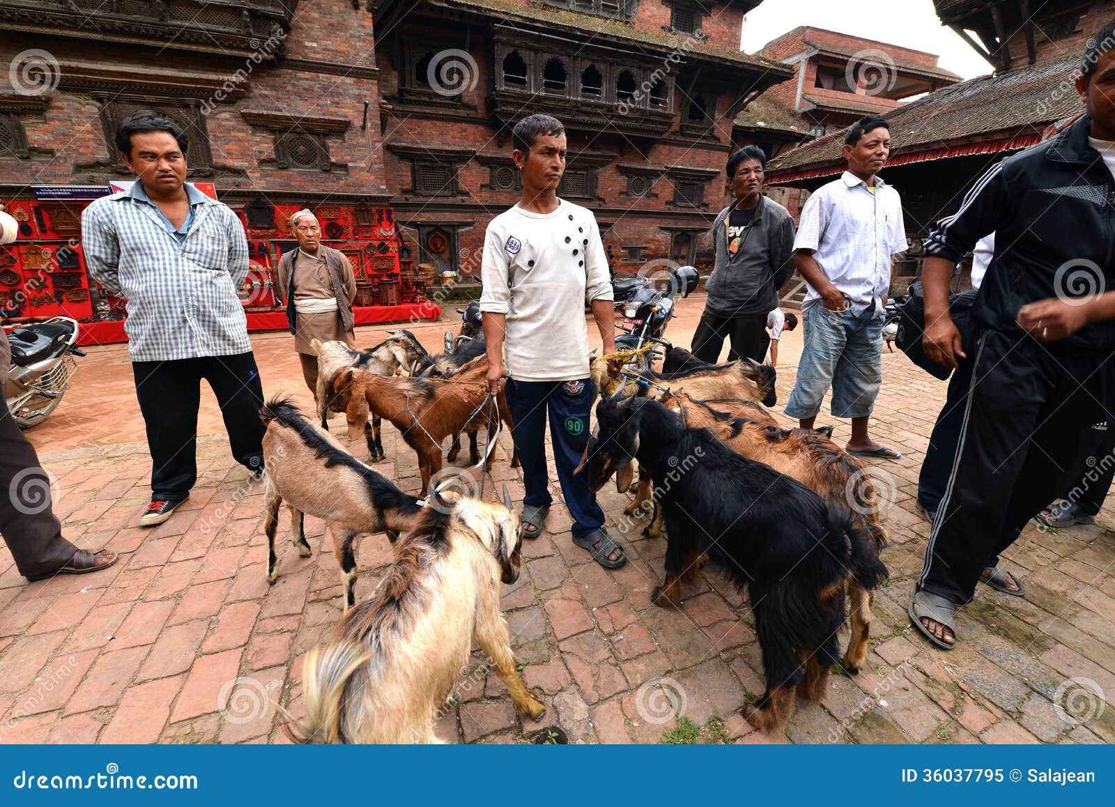 Goat Sacrifice in Kathmandu, Nepal Editorial Image - Image of hindu,  dasain: 36037795