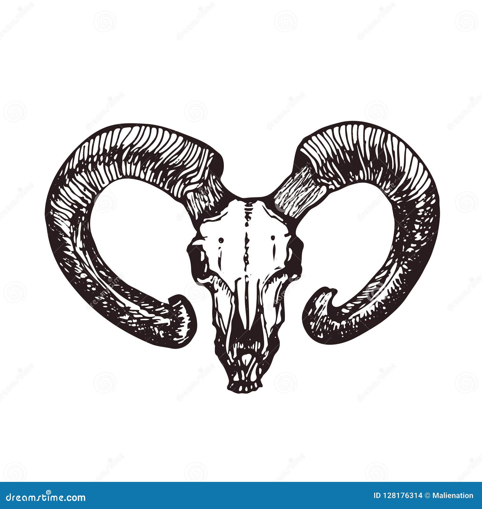 Goat Skull Art. Tattoo Logo Design. Book Illustration. Stock Vector -  Illustration of print, draw: 128176314